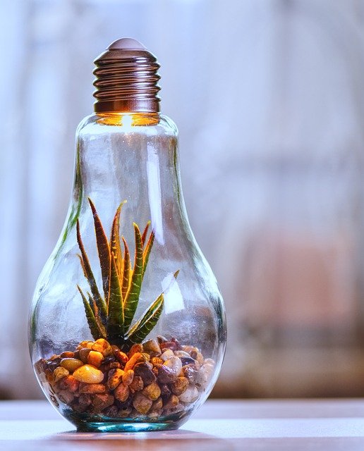 environmental protection, nature, lightbulb